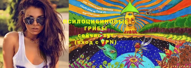 Галлюциногенные грибы Magic Shrooms  кракен ONION  Череповец  закладка 